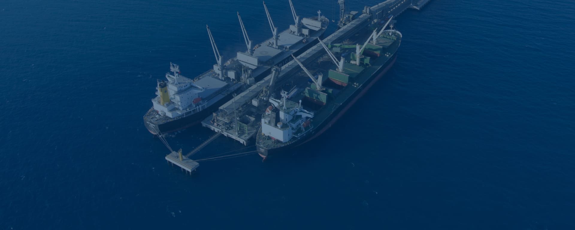 Medcem Port'ta